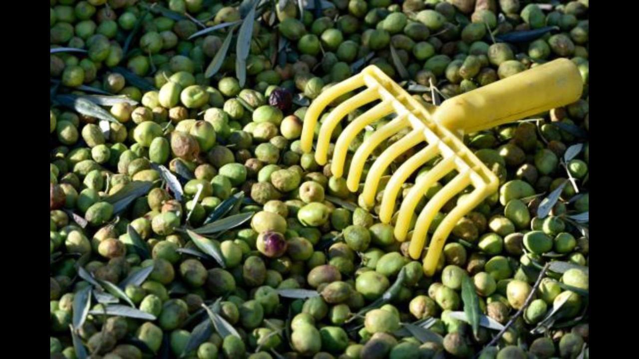 Hebergements Des Posas Sampzon المظهر الخارجي الصورة